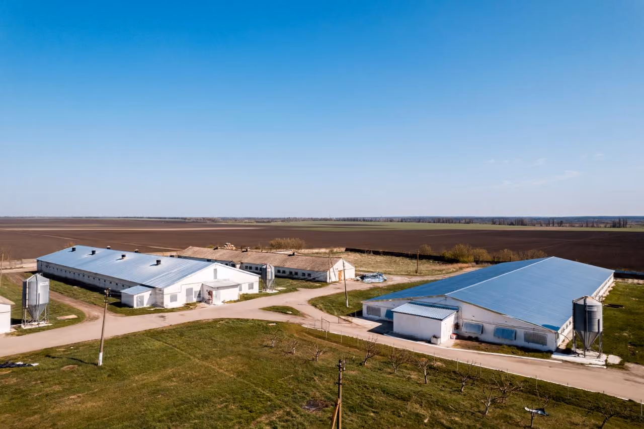 Two large agricultural buildings with metal roofs on farmland under a clear blue sky.