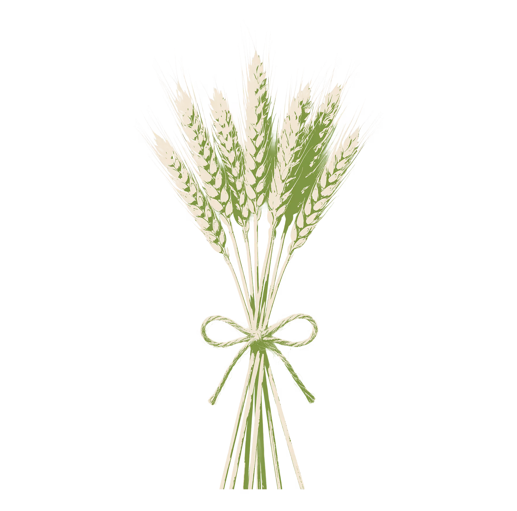 Visualization of cooperative farms per 10 hectares: a smaller bunch of wheat