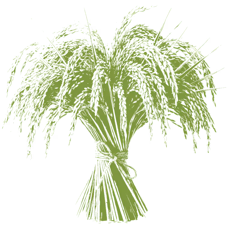 Visualization of partner farms on 500 hectares: a large bunch of wheat