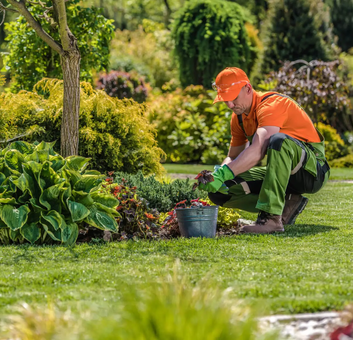 Mitarbeiter pflegt Garten