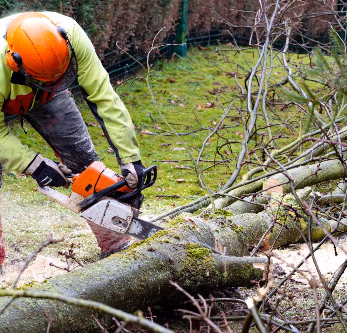 Mitarbeiter zerkleinert Baum