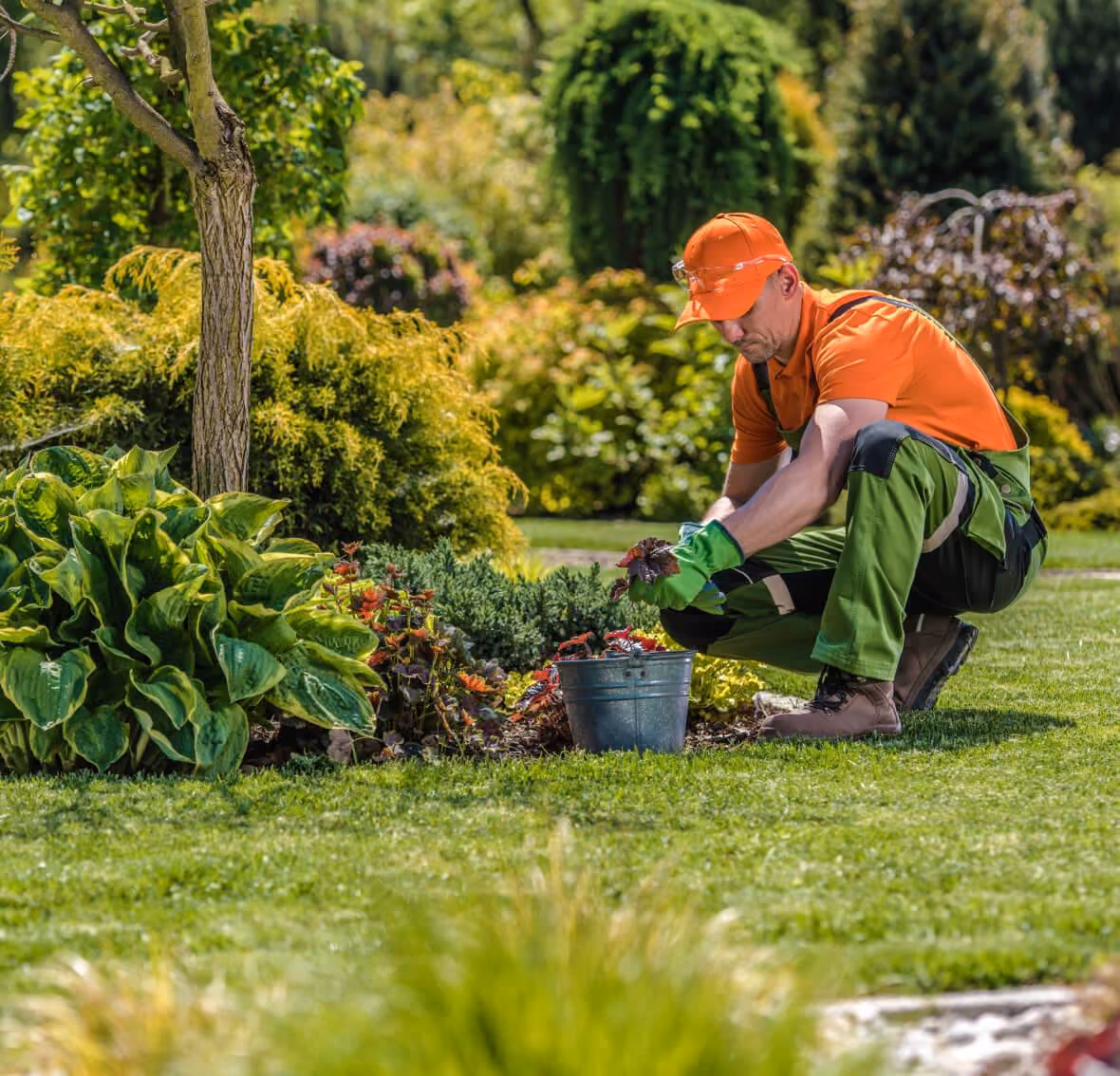 Mitarbeiter pflegt Garten und Pflanzen