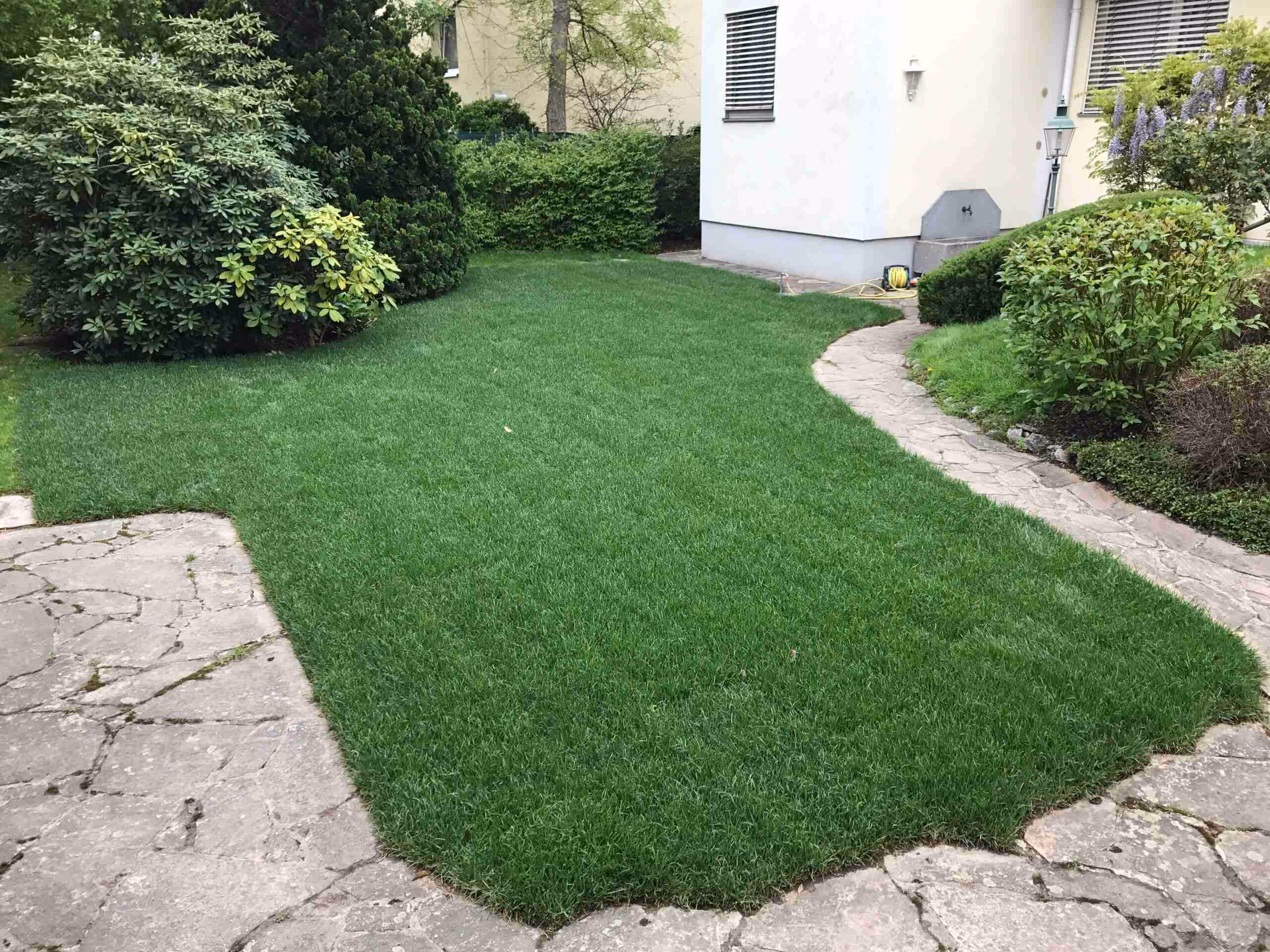 Privater kleiner Garten mit Rasen und Pfade