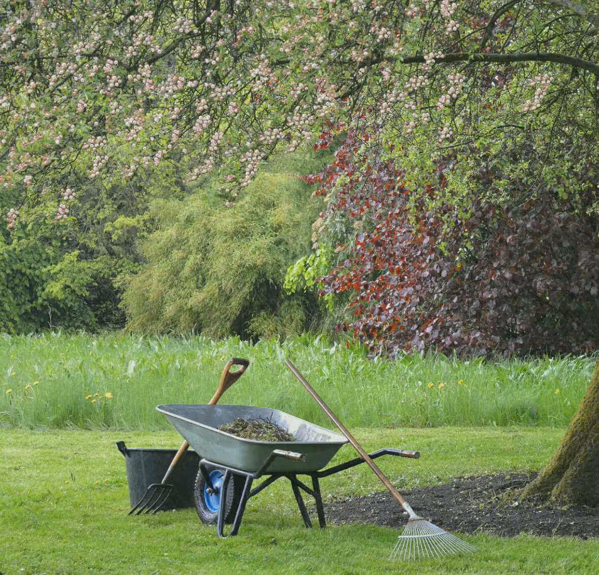 Gartenwerkzeug unter altem Baum