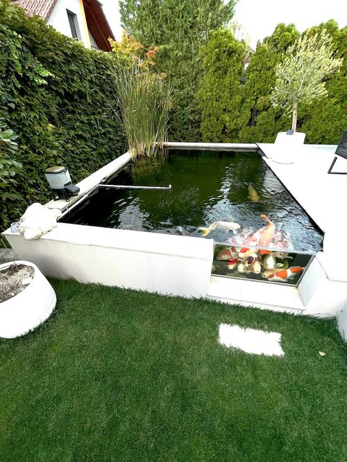 Garten mit Rasenfläche, rechteckigem Wasserbecken und dichtem Sichtschutz aus Pflanzen