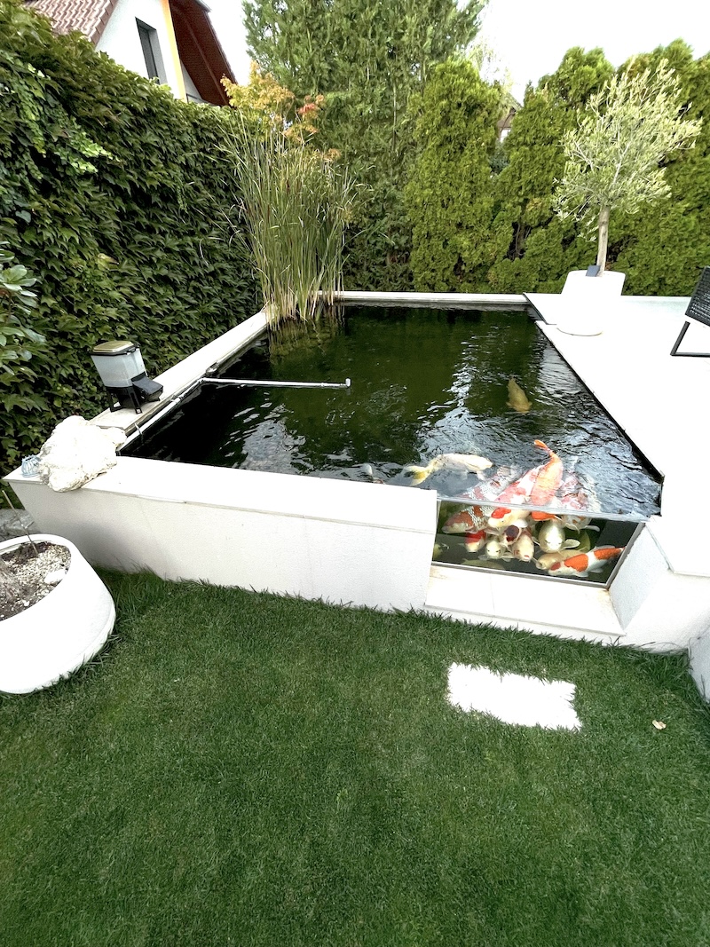 Garten mit Rasenfläche, rechteckigem Wasserbecken und dichtem Sichtschutz aus Pflanzen