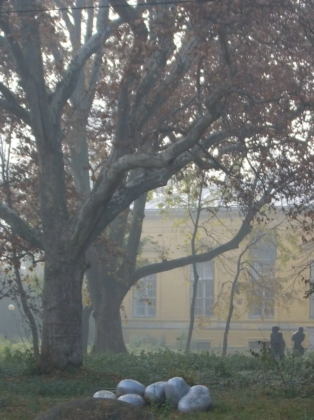 Großer Baum mit kahlen Ästen und etwas Laub im Nebel vor einem gelben Gebäude, im Vordergrund liegen mehrere runde graue Steine auf dem Gras, zwei Personen gehen im Hintergrund.
