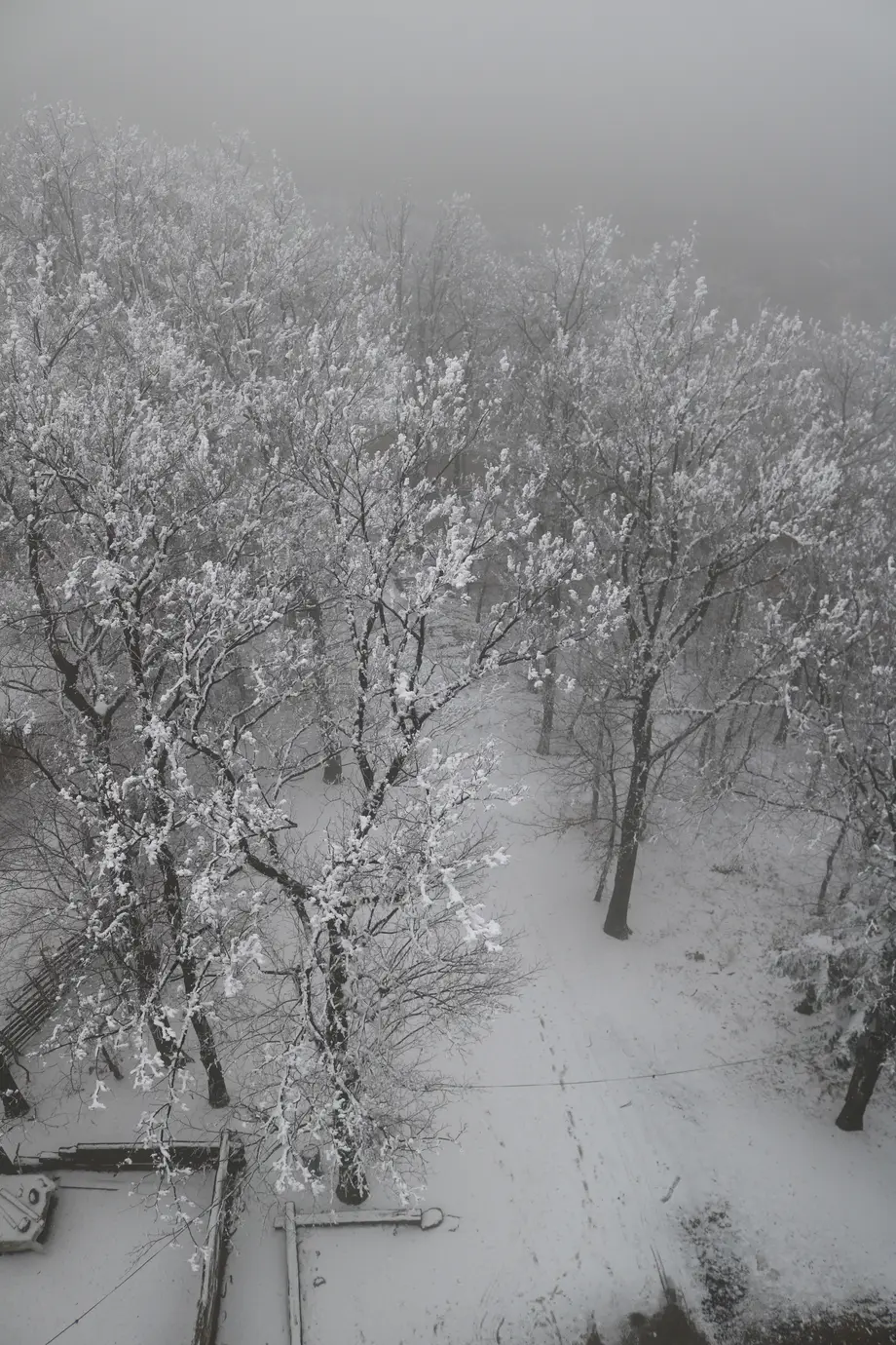 Vogelperspektive auf einen verschneiten Wald mit Bäumen, deren Äste von Schnee bedeckt sind, und verschneitem Boden mit Fußspuren im Schnee.