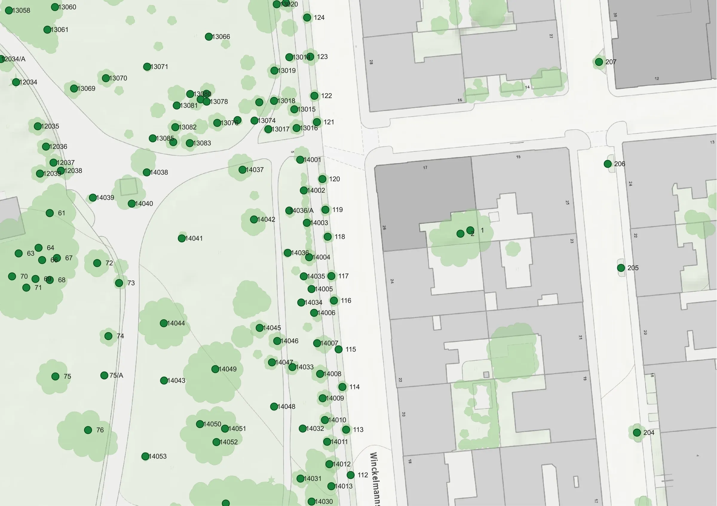 Digitale Karte eines städtischen Baumbestands mit grünen Punkten als Baumstandorte, beschriftet mit Nummern, angrenzend an graue Gebäude und Straßen mit dem Namen Winckelmannstraße.