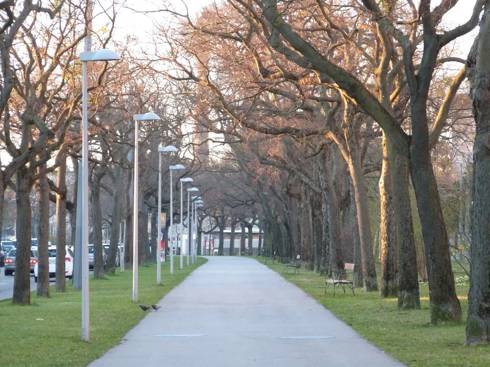 Digitale Erfassung eines kommunalen Baumbestands