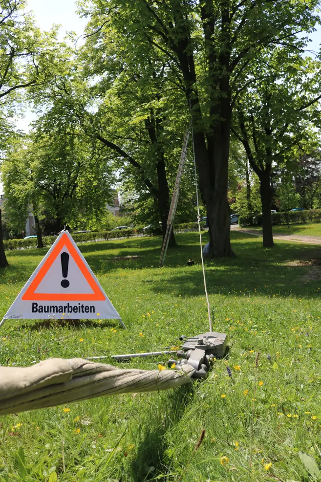 Ein dreieckiges Warnschild auf einer Wiese mit der Aufschrift ‚Baumarbeiten‘, im Hintergrund Bäume, eine Leiter angelehnt an einen Baumstamm und eine Spannvorrichtung im Vordergrund.