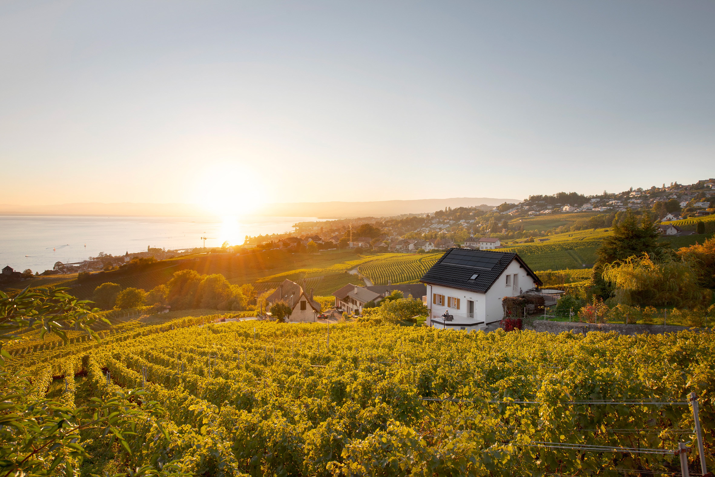 Villa HSS à Lutry, maison vigneronne rénovée au cœur des vignes de Lavaux