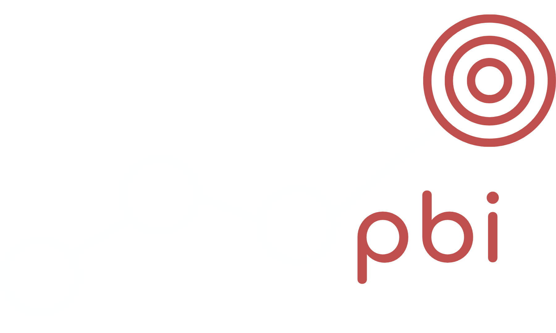 PBI - Practical Business Improvements