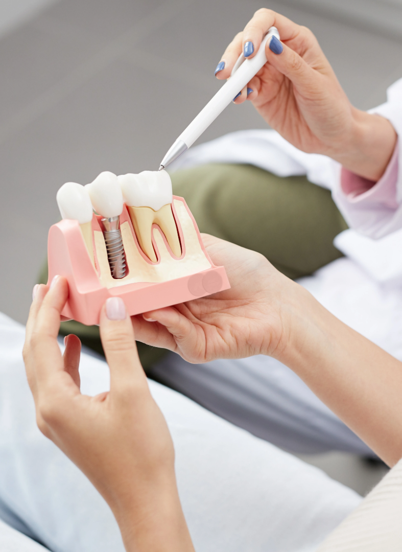 Hands holding and pointing to a dental model showing natural teeth and a metal implant.