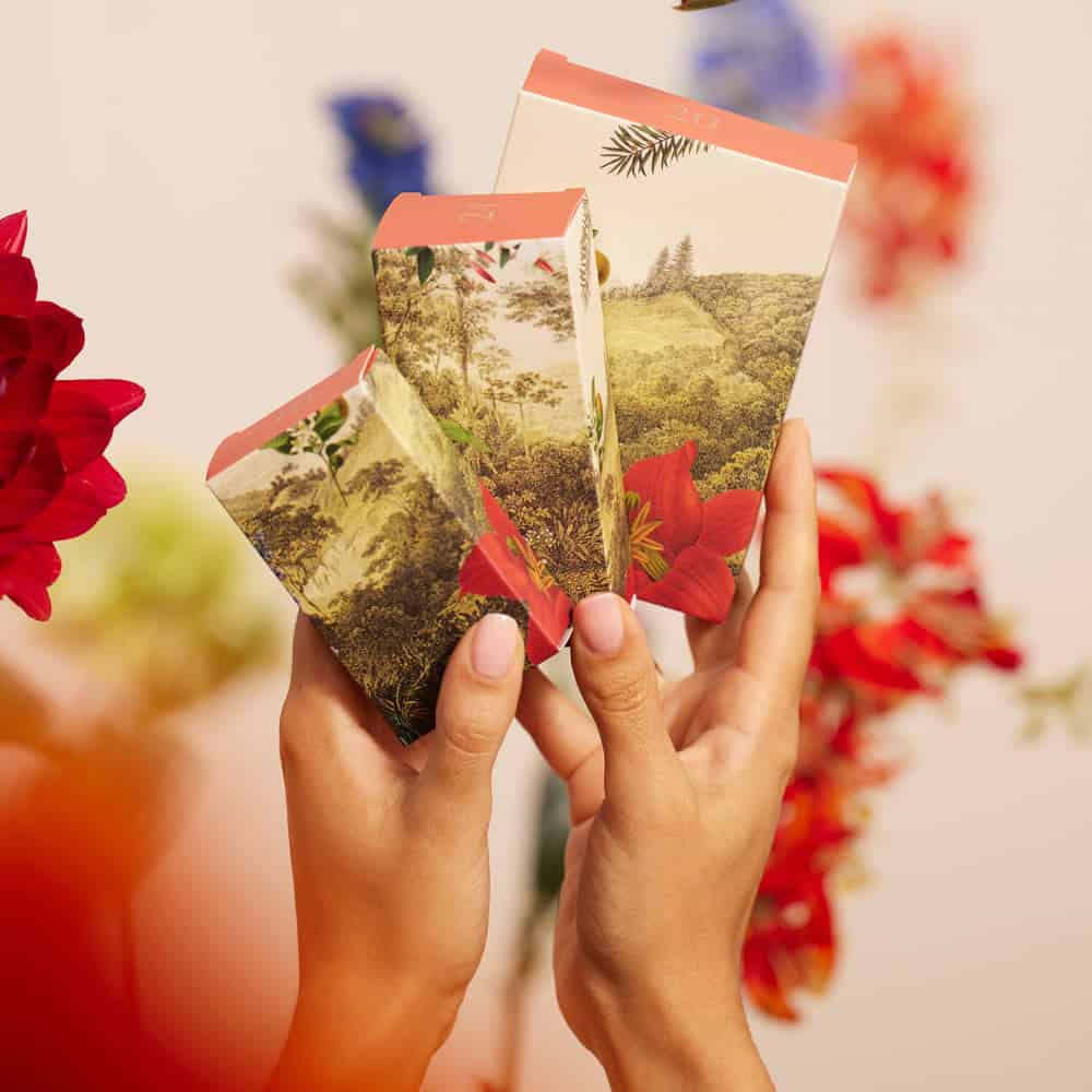 Top 20 Coolest Advent Calendars 2023_Payot2
