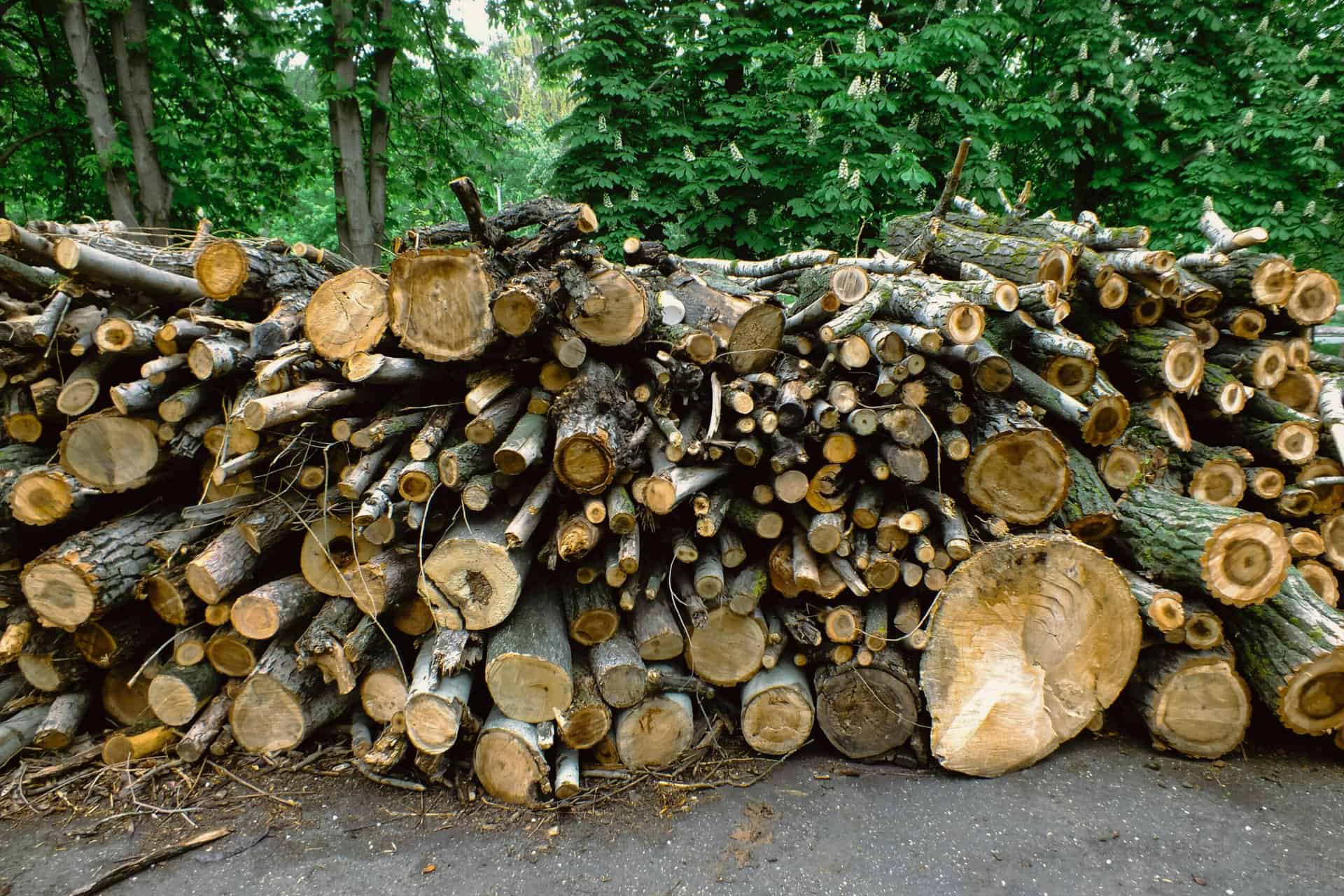 EUTR compliance European Union Timber Regulation Sustainable timber sourcing 