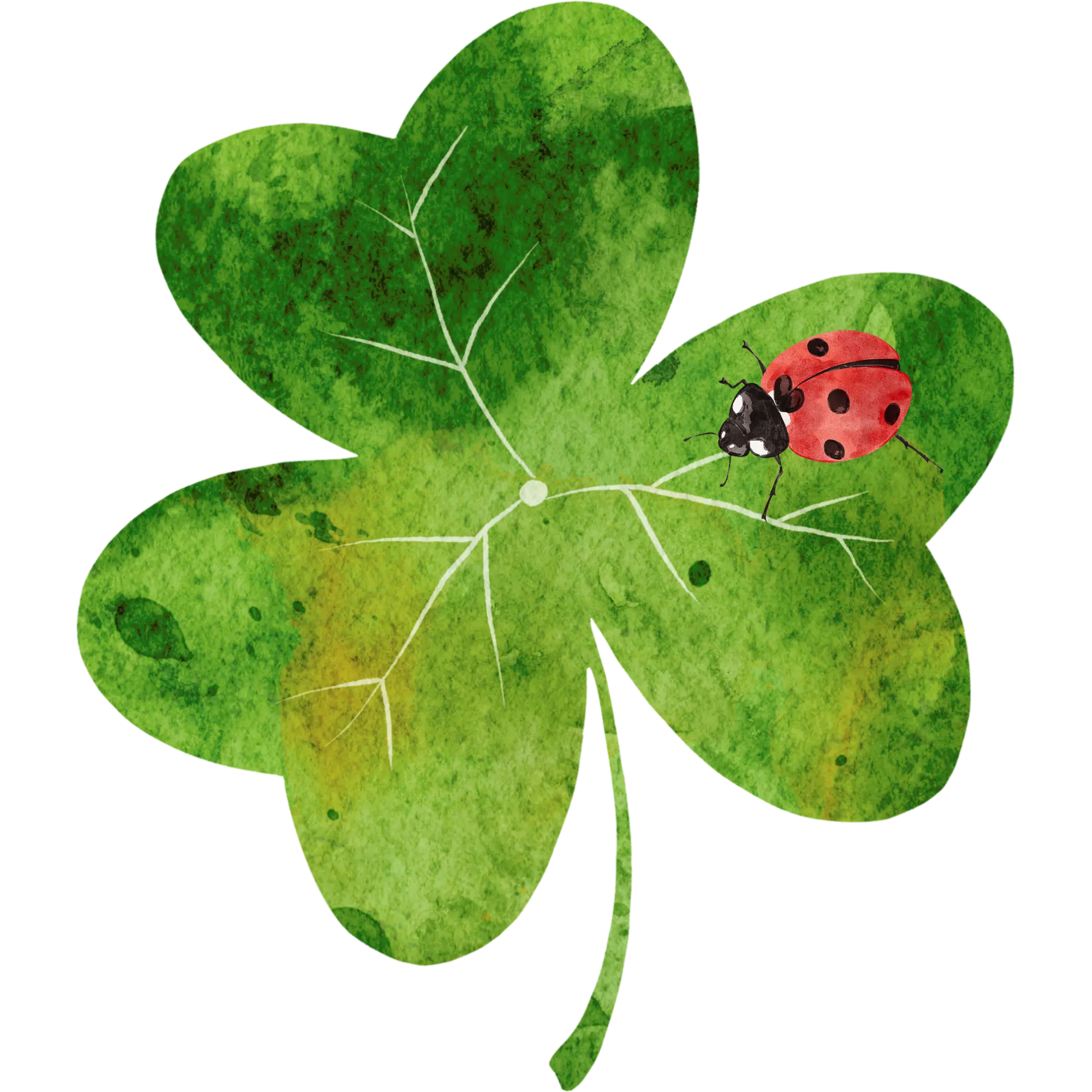 Illustration of three green, heart-shaped leaves on thin dark green stems.