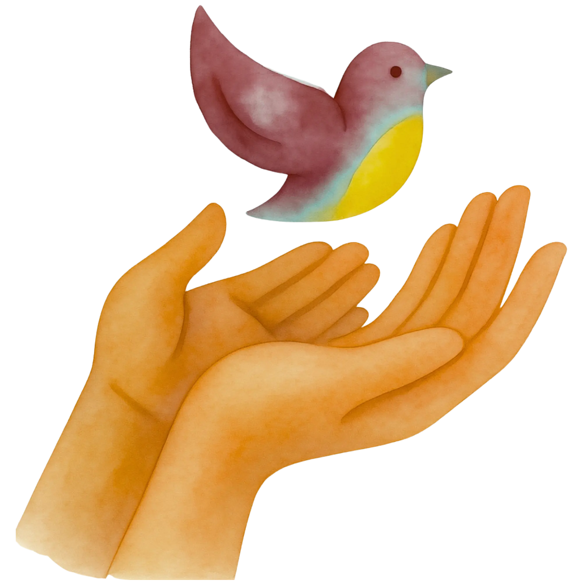 Illustration of two open hands releasing a small bird with red, yellow, and blue feathers.