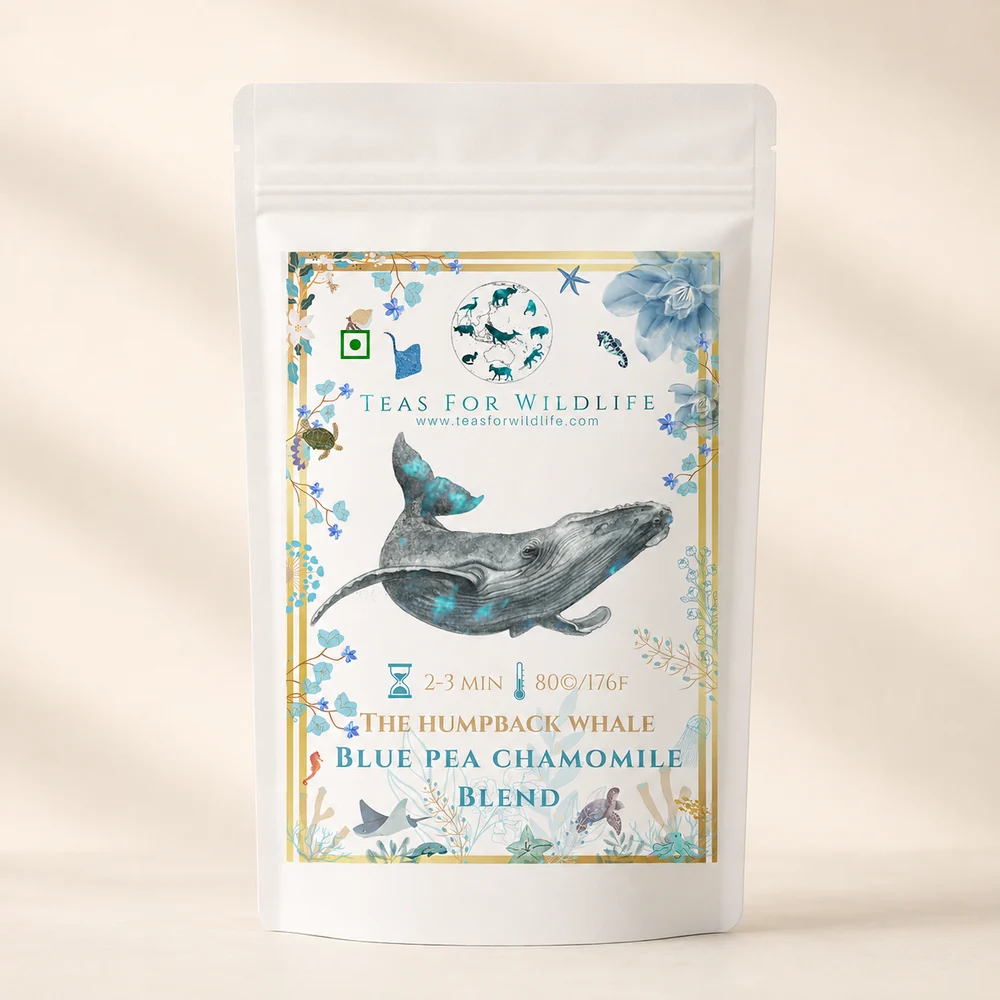 Blue Pea Chamomile tea