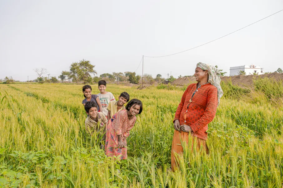 Smallholder farmers harvesting together in a tea field