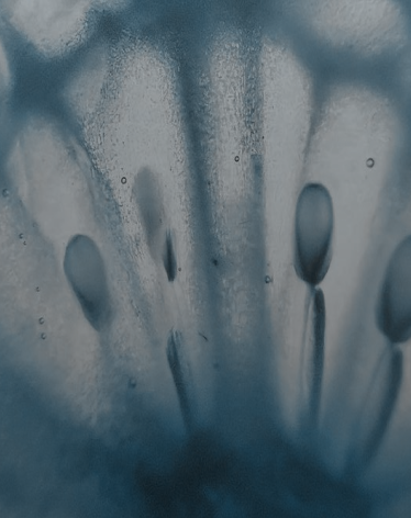 Close-up of water droplets on a textured, translucent surface with abstract shadows behind it.