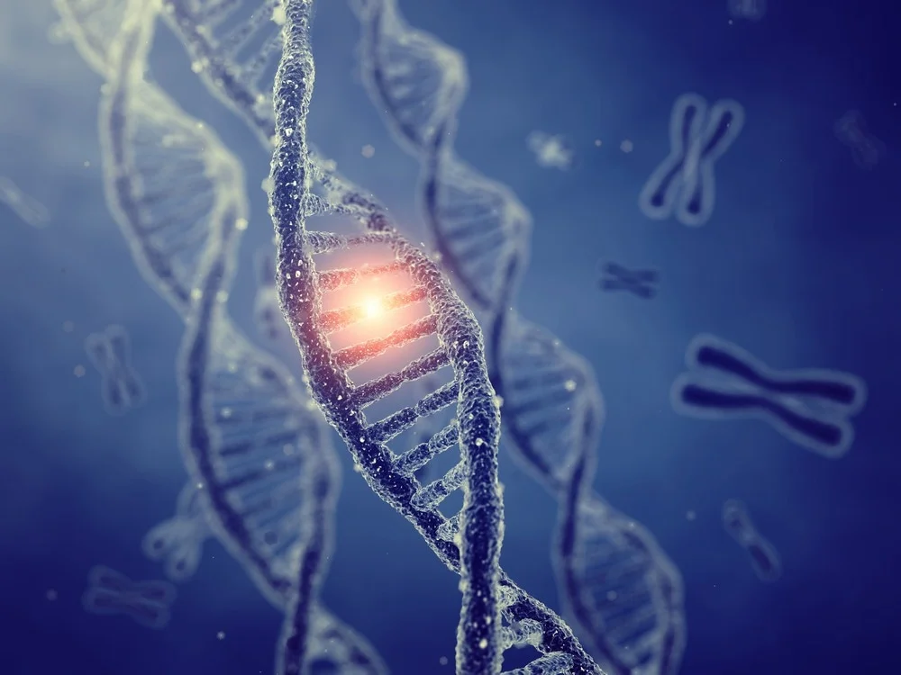 Genomic data visualization for AI-assisted rare-disease reanalysis