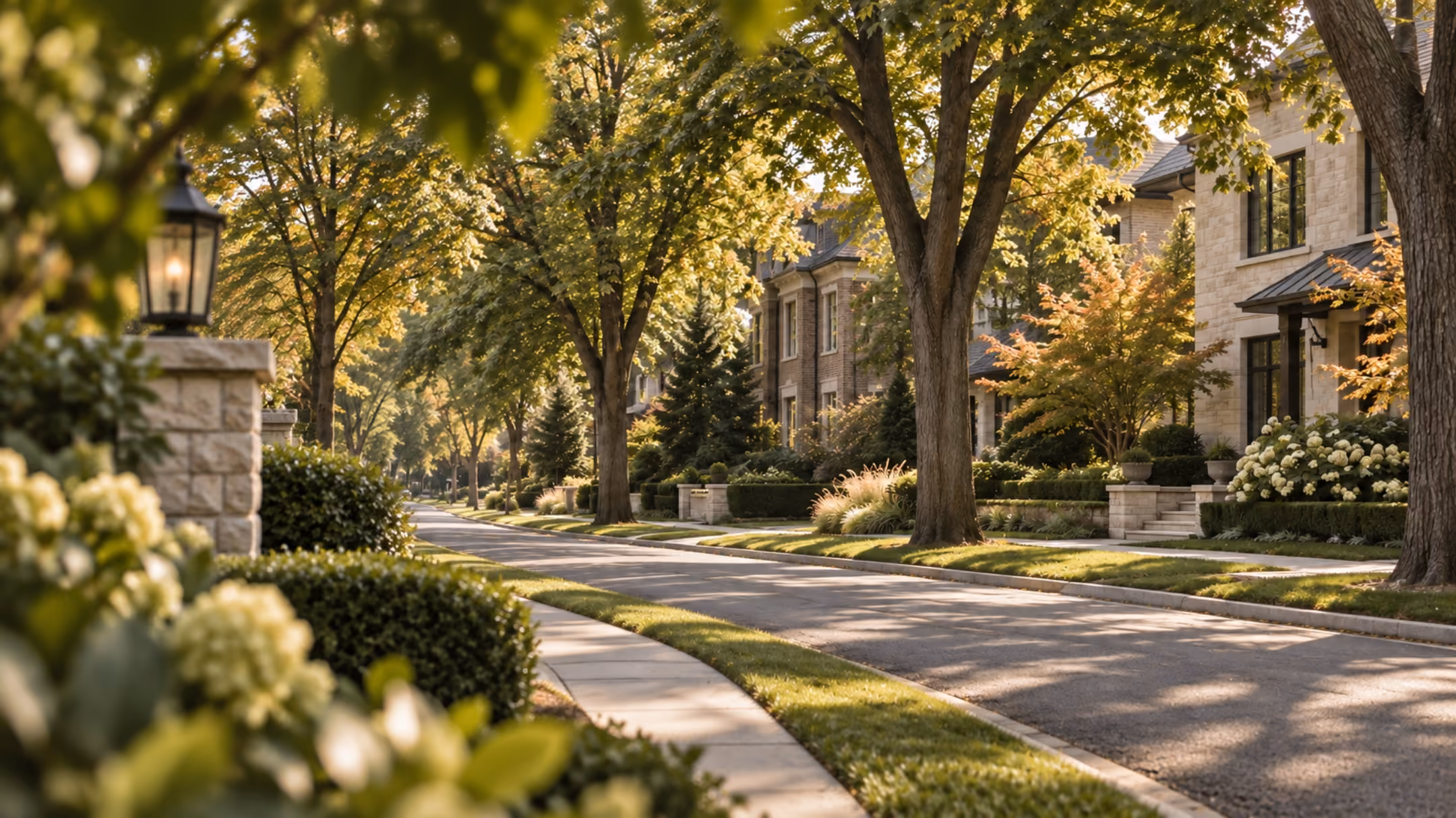 Tree-lined Mississauga street in autumn