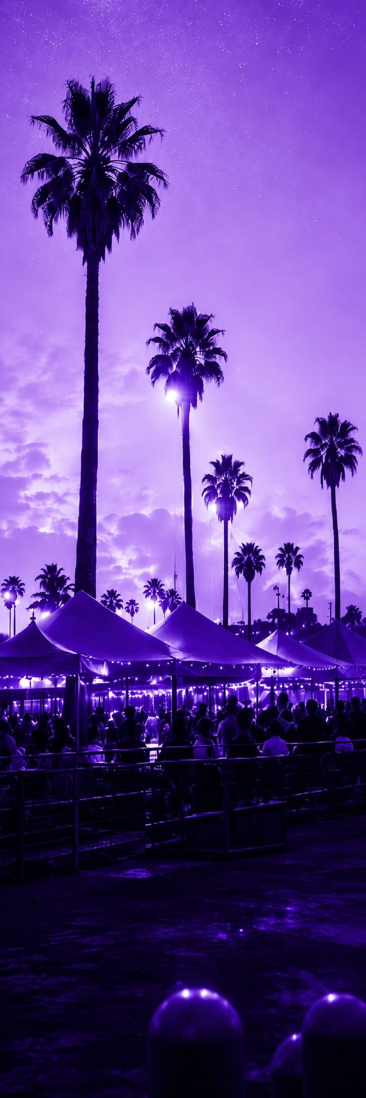 Saturday Chandler Farmers Market at dusk with palm trees and market tents