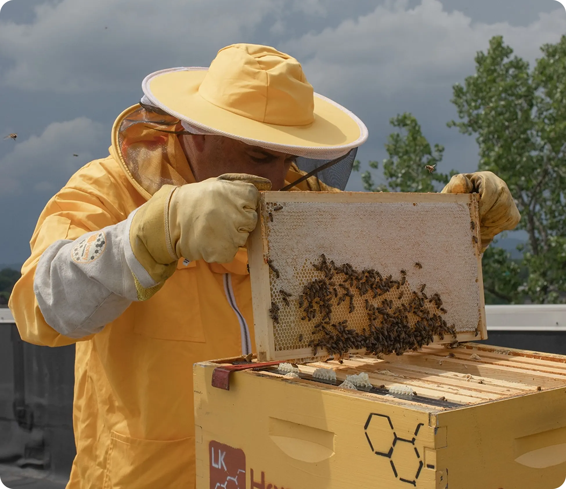 Beekeeper logo