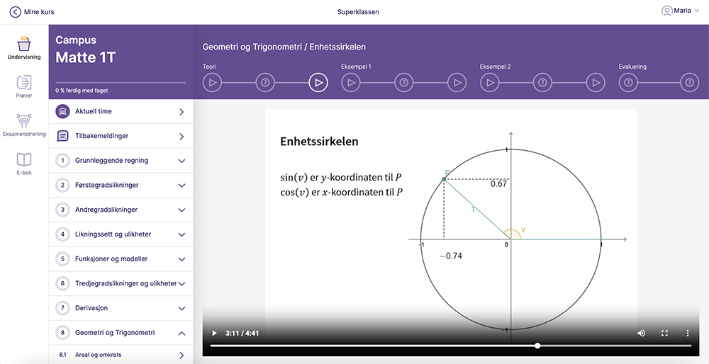Skjermbilde av videoforelesning