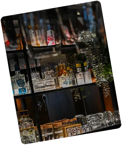 Bar shelf stocked with various liquor bottles, glassware, and hanging plants in dim lighting.