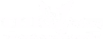 THK Stiftelsen logo