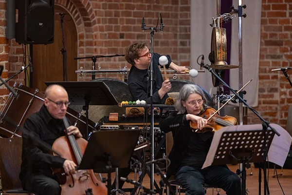 Künstler auf der Bühne beim Provinlärm Festival