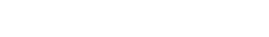 Global Retailer