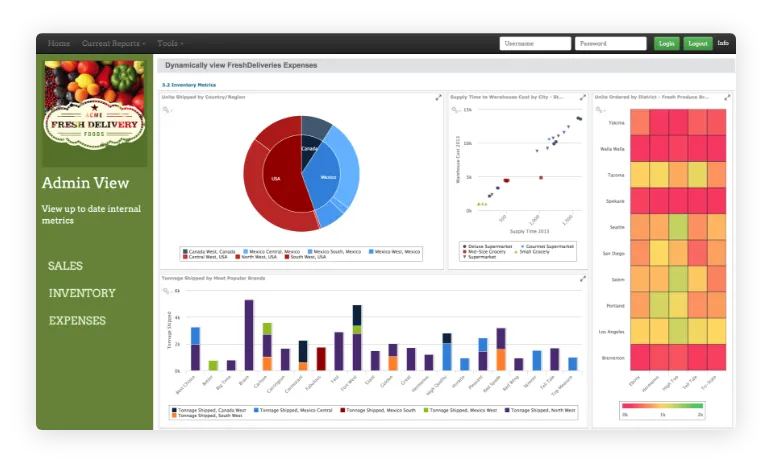Embedded analytics solution for businesses