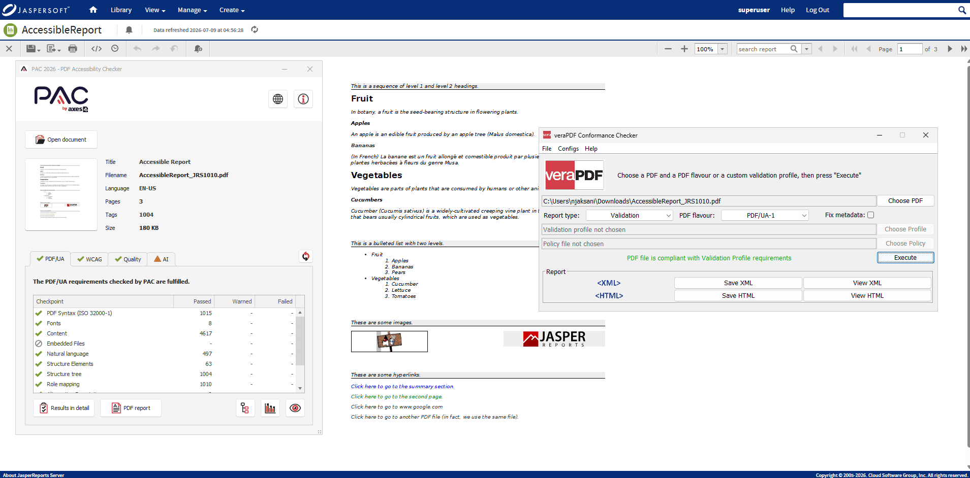 Accessible PDF report passing PDF/UA checks in PAC and veraPDF