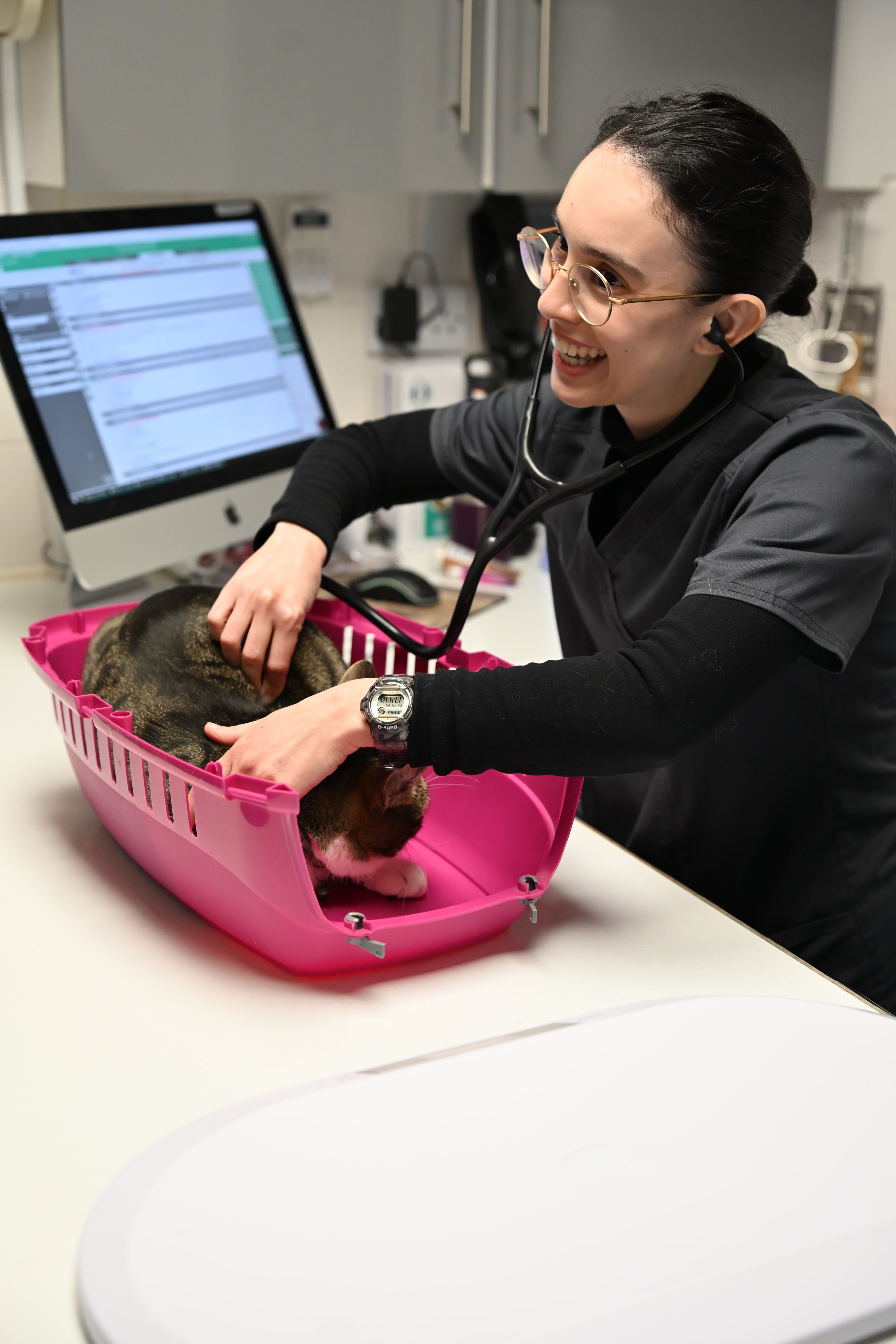 AnimalKind Veterinarian uses stethoscope to examine a cat inside a pink pet carrier on a white table.