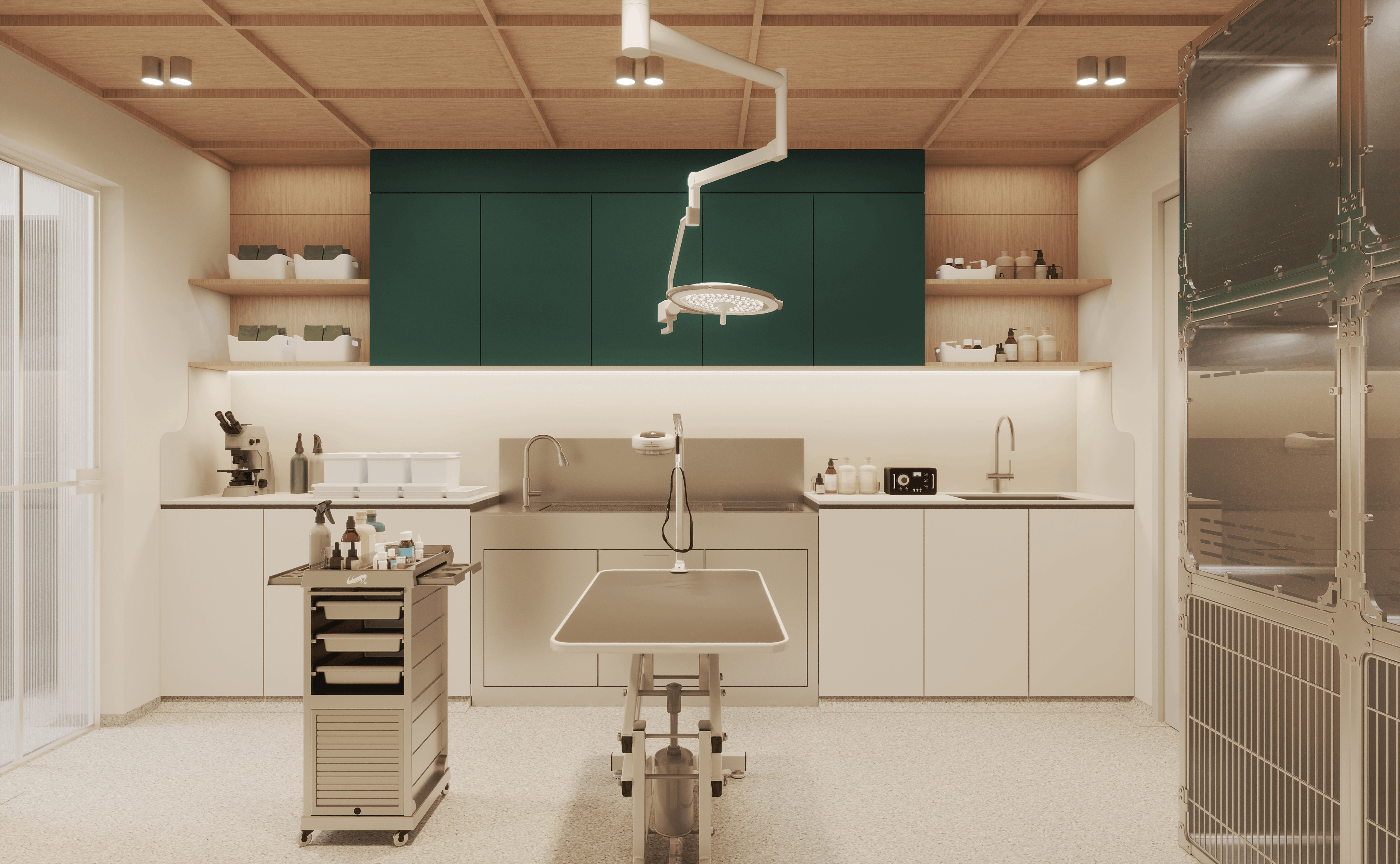 Animalkind's Clean veterinary exam room with surgical light, exam table, storage cabinets, and medical supplies.