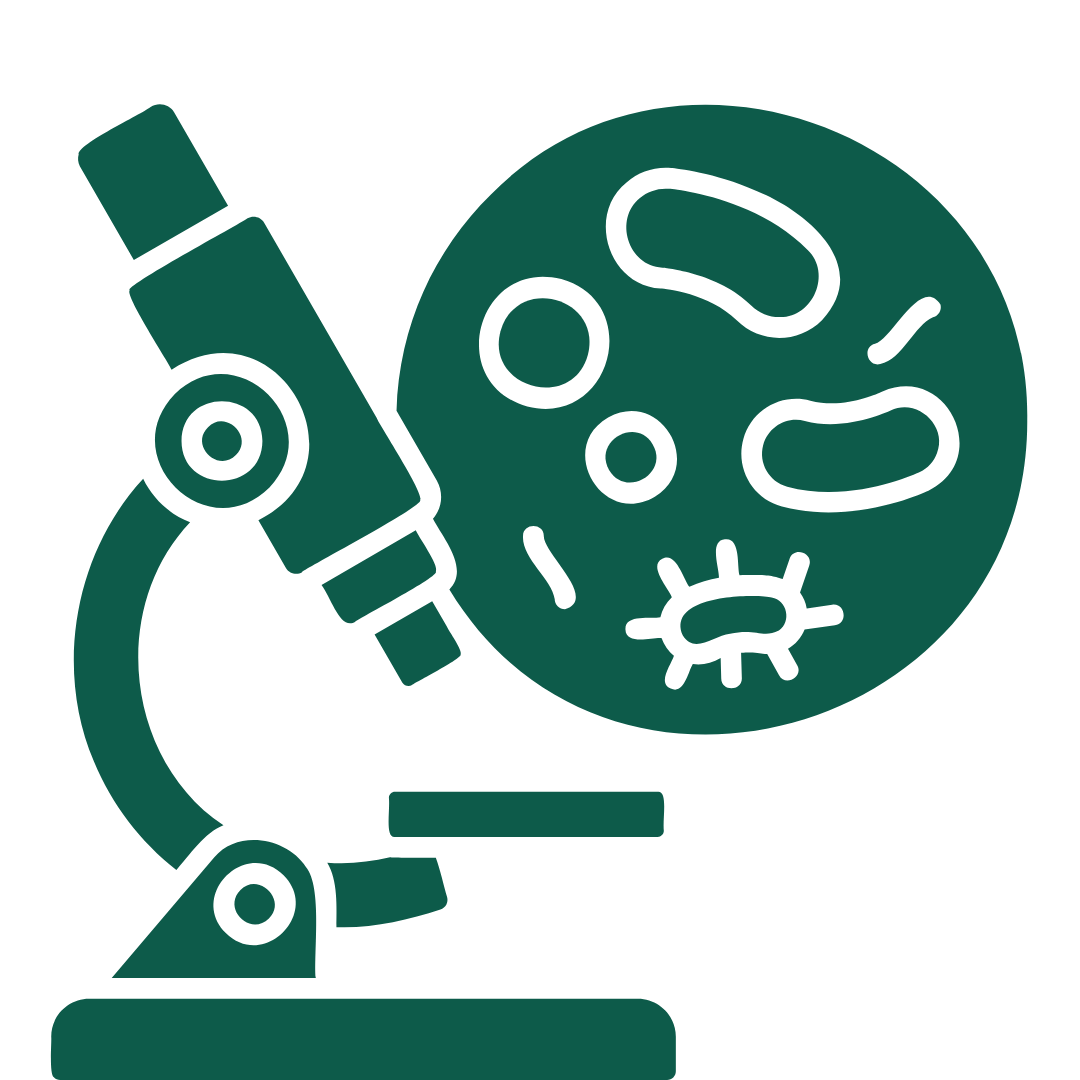 Graphic of a microscope focusing on a circular slide showing microbes and bacteria.