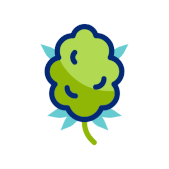 Simple green flower with blue accents and a short stem on white background.