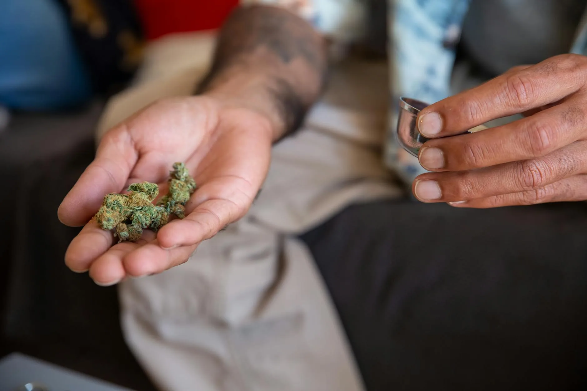 Person holding cannabis buds in one hand and a metal grinder in the other.
