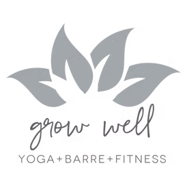 Logo of a stylized bird in flight with the text BaaS beneath it.