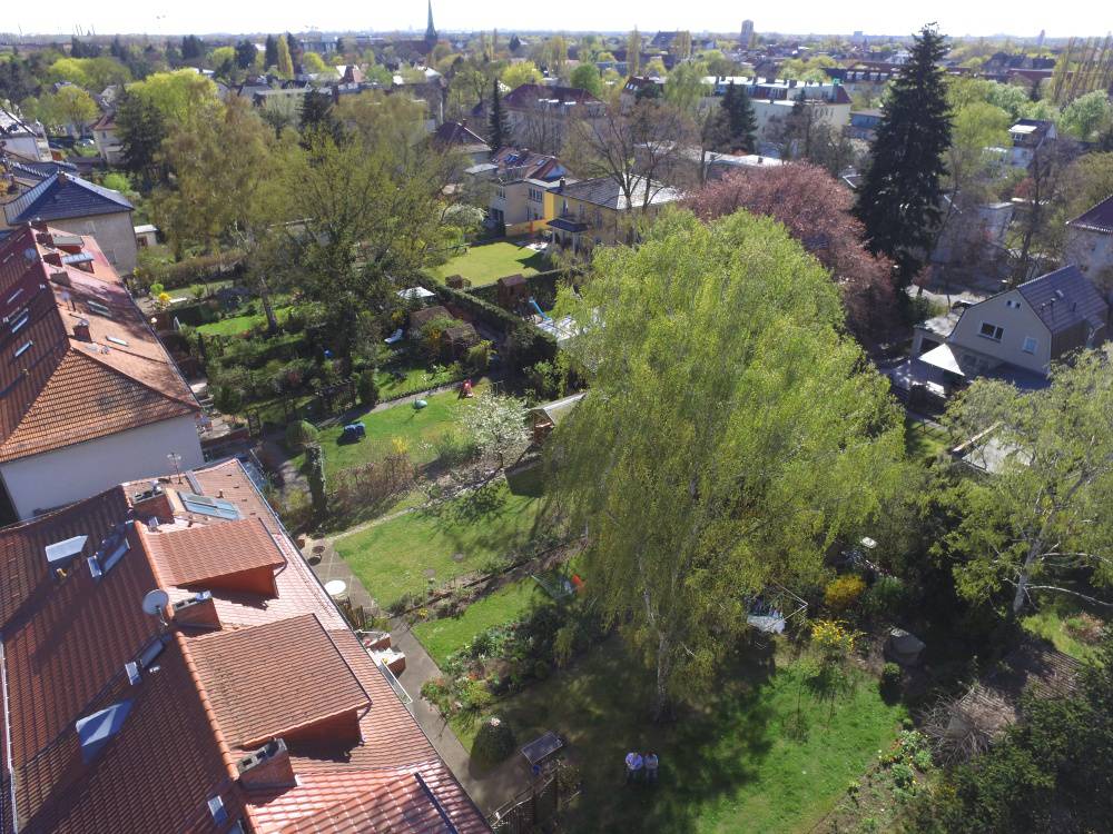 Living in Karlshorst – ca. 120 qm Wohnfläche auf sonnigem Grundstück (provisionsfreies Angebot) – Bild 3