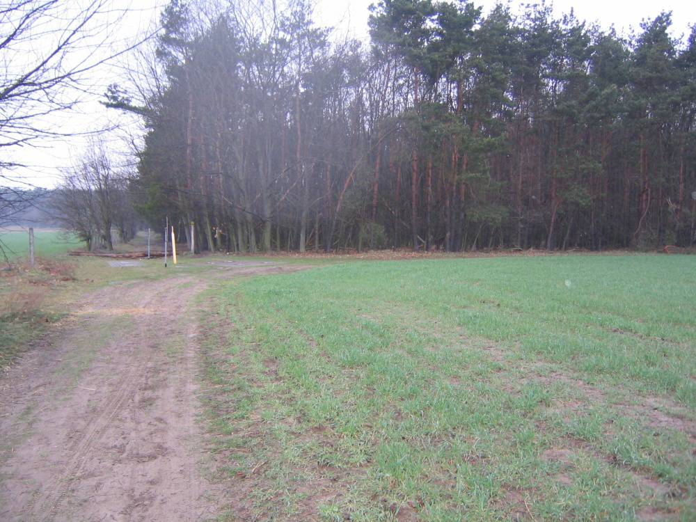 Ca. 16 ha Top-Waldbestand nahe Jüterbog – Bild 1
