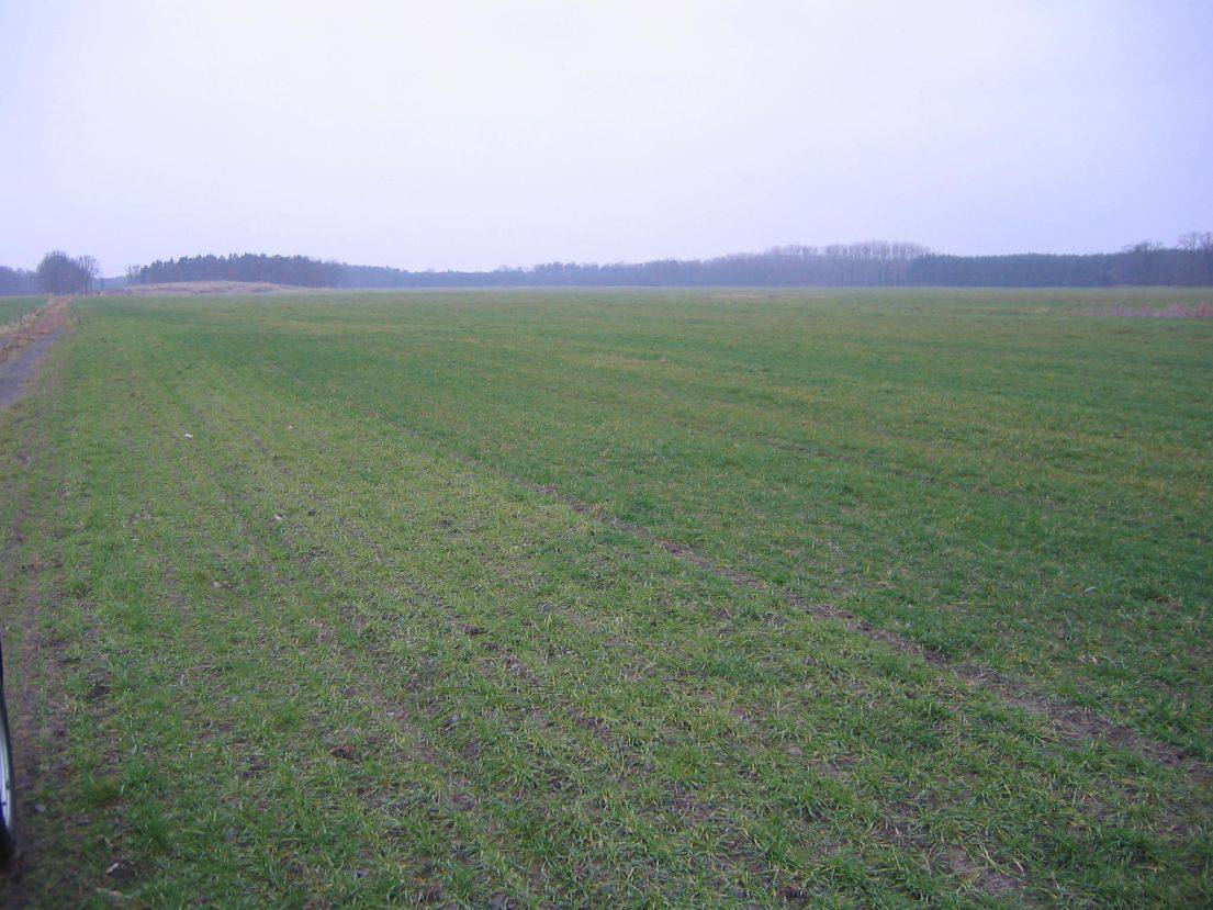 ca. 10,75 ha Landwirtschaftsflächen in Nassenheide – Bild 1