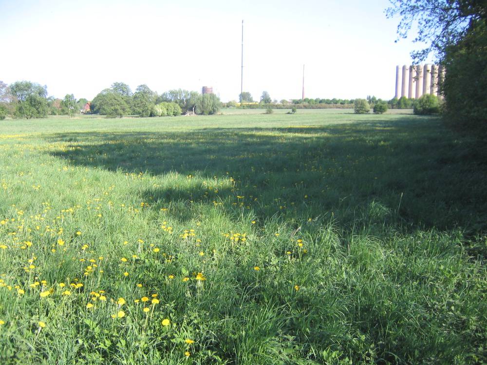Acker, Grünland & Kleingartenanlage im Stadtgebiet Schwerin (OT Wüstmark) – Bild 1