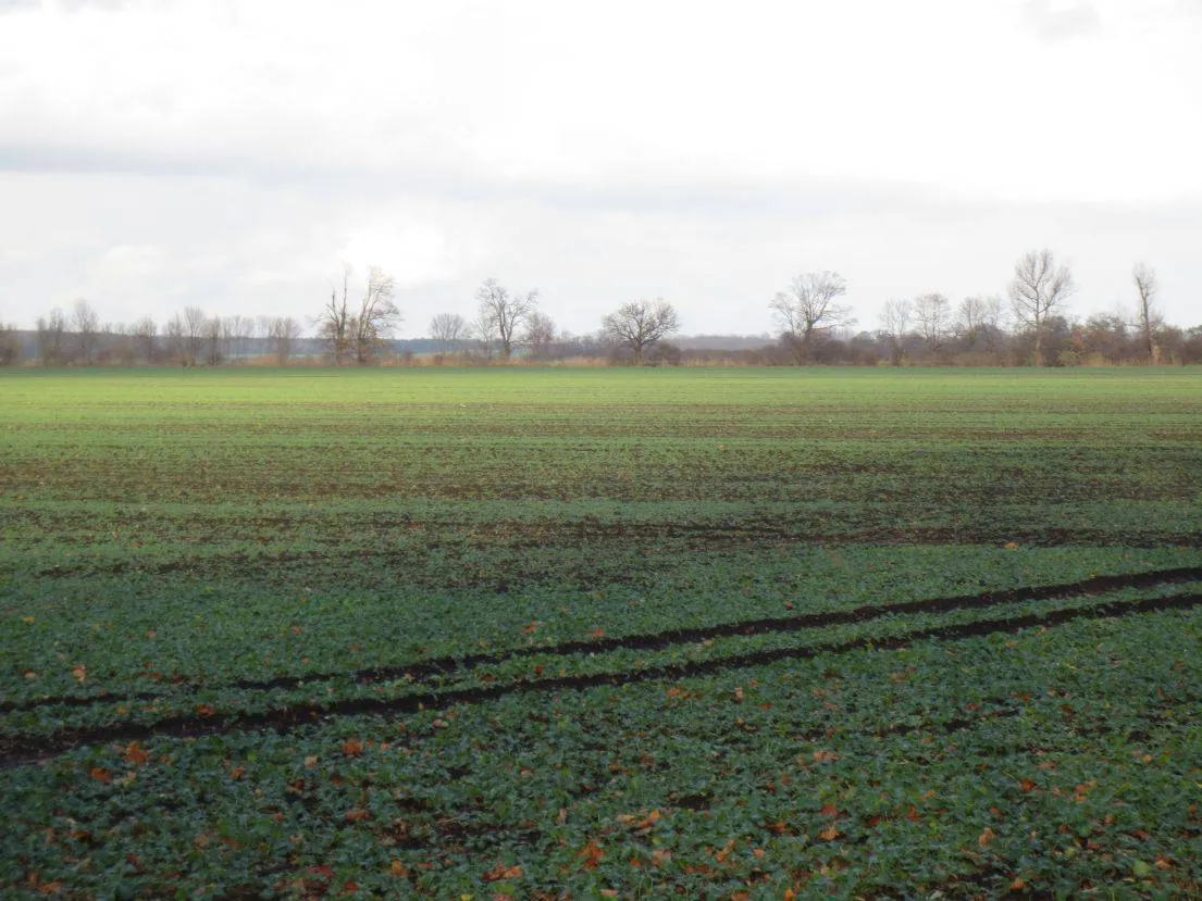 14 ha Acker- und Grünland in der Ostprignitz (verpachtet) – Bild 1