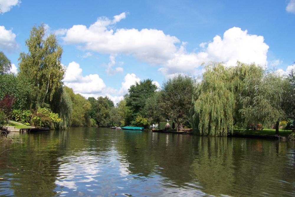 Leben, da wo andere Urlaub machen - großes Anwesen mit ca. 7 ha Fläche in Burg (Spreewald) – Bild 1