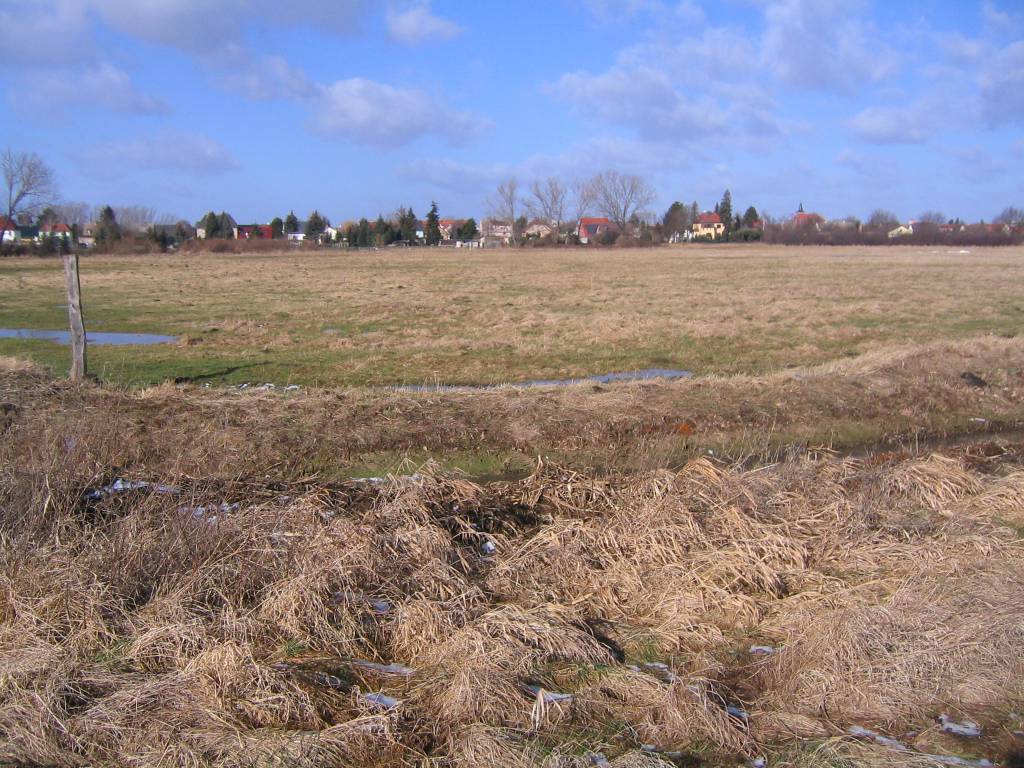 Provisionsfrei aus Abwicklung: ca. 7,6 ha Grünland im B-Plan "Seedorf" (am Ortsrand von Gerwisch) – Bild 1