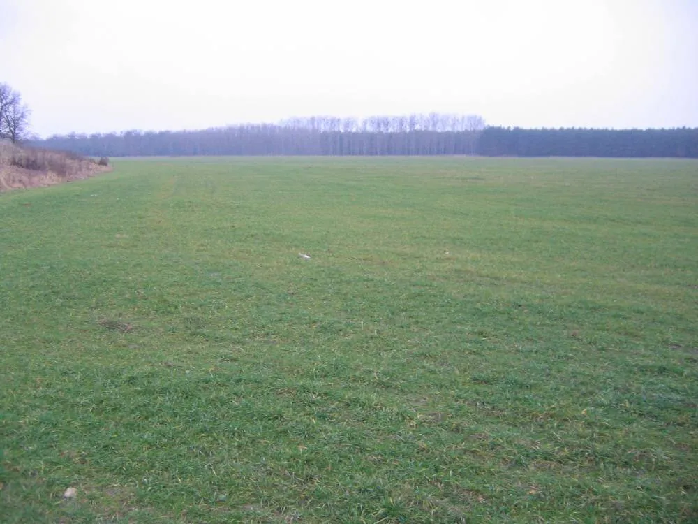 Renditeobjekt: ca. 18,5 ha Acker- und Grünland im Löwenberger Land – Bild 2